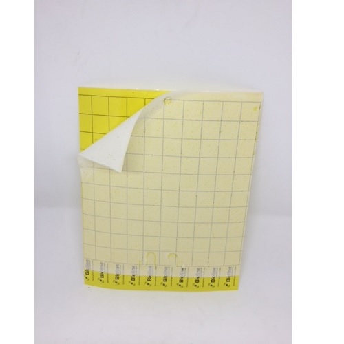 TRAMPA AMARILLA DE CAPTURA 25x20 cm